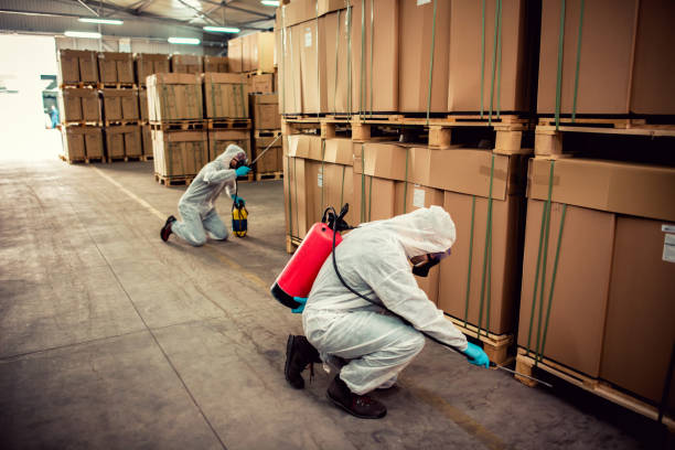 Reliable Spindale, NC Pest Control Solutions