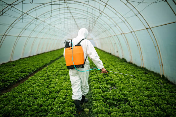 Best Mosquito Control Services  in Spindale, NC