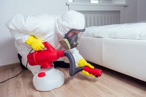 Best Pest Control Near Me  in Spindale, NC