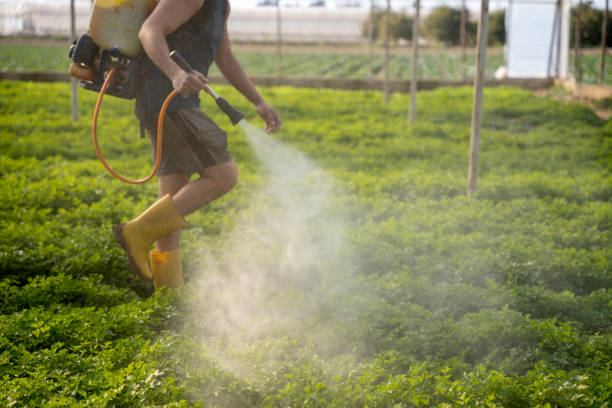 Best Affordable Pest Control Services  in Spindale, NC
