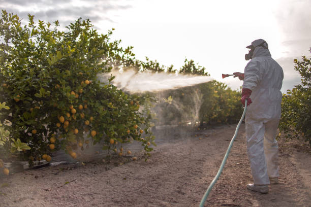 Best Pest Control Near Me  in Spindale, NC