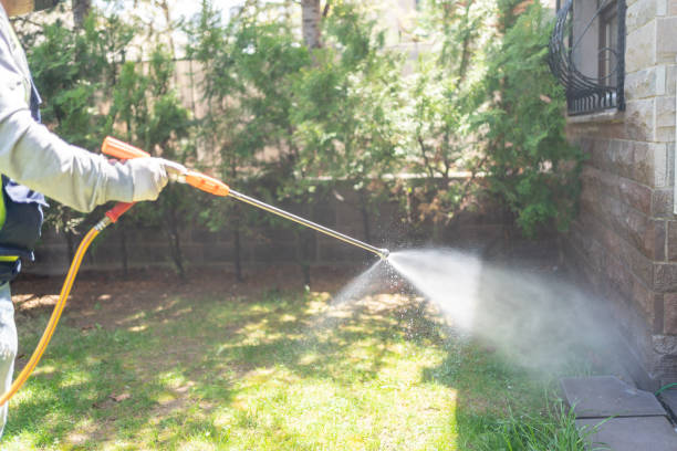 Best Flea Control Services  in Spindale, NC