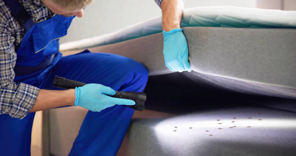 Pest Control Cost in Spindale, NC