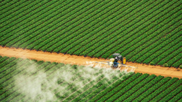 Best Pest Control for Homes  in Spindale, NC