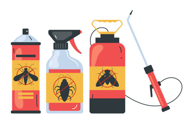 Insect Control in Spindale, NC