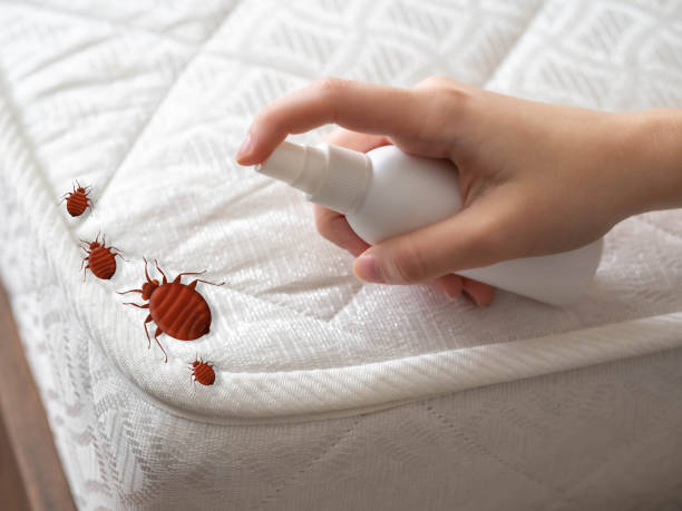Best Cockroach Control Services  in Spindale, NC