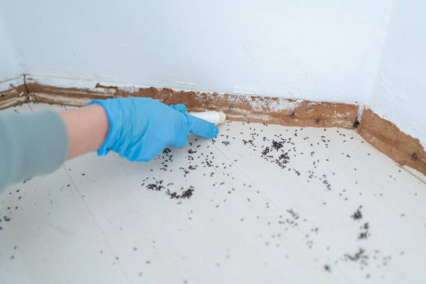 Best Wildlife Control Services  in Spindale, NC