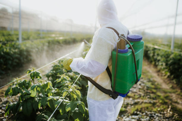 Best Insect Control  in Spindale, NC